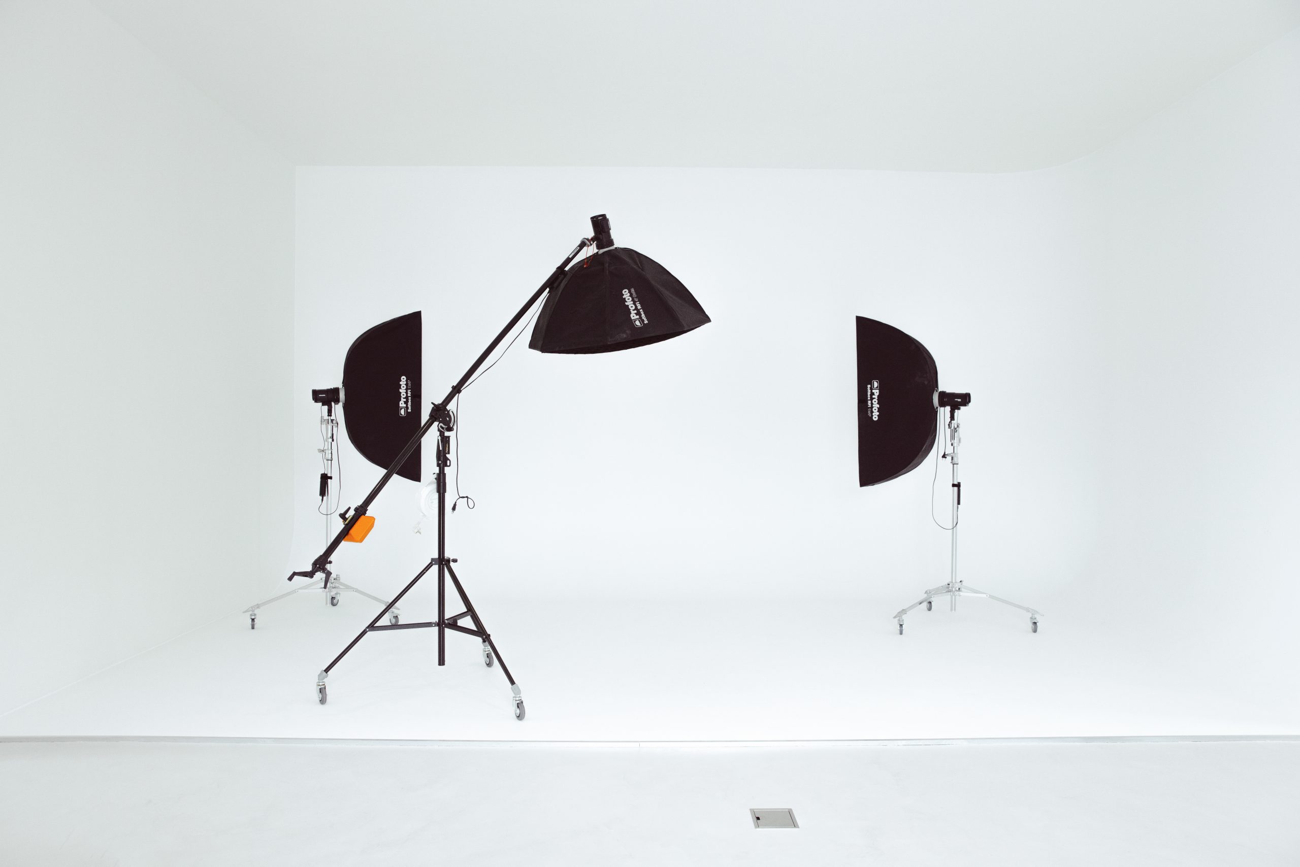 Priscilla Wolf Studio Overview